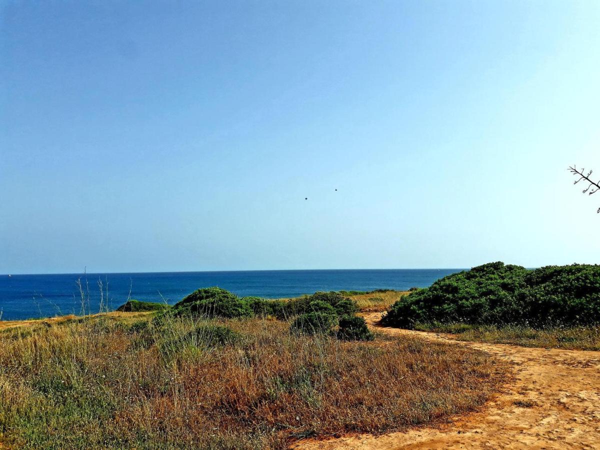 Casa Canavial Praia Da Luz Zewnętrze zdjęcie