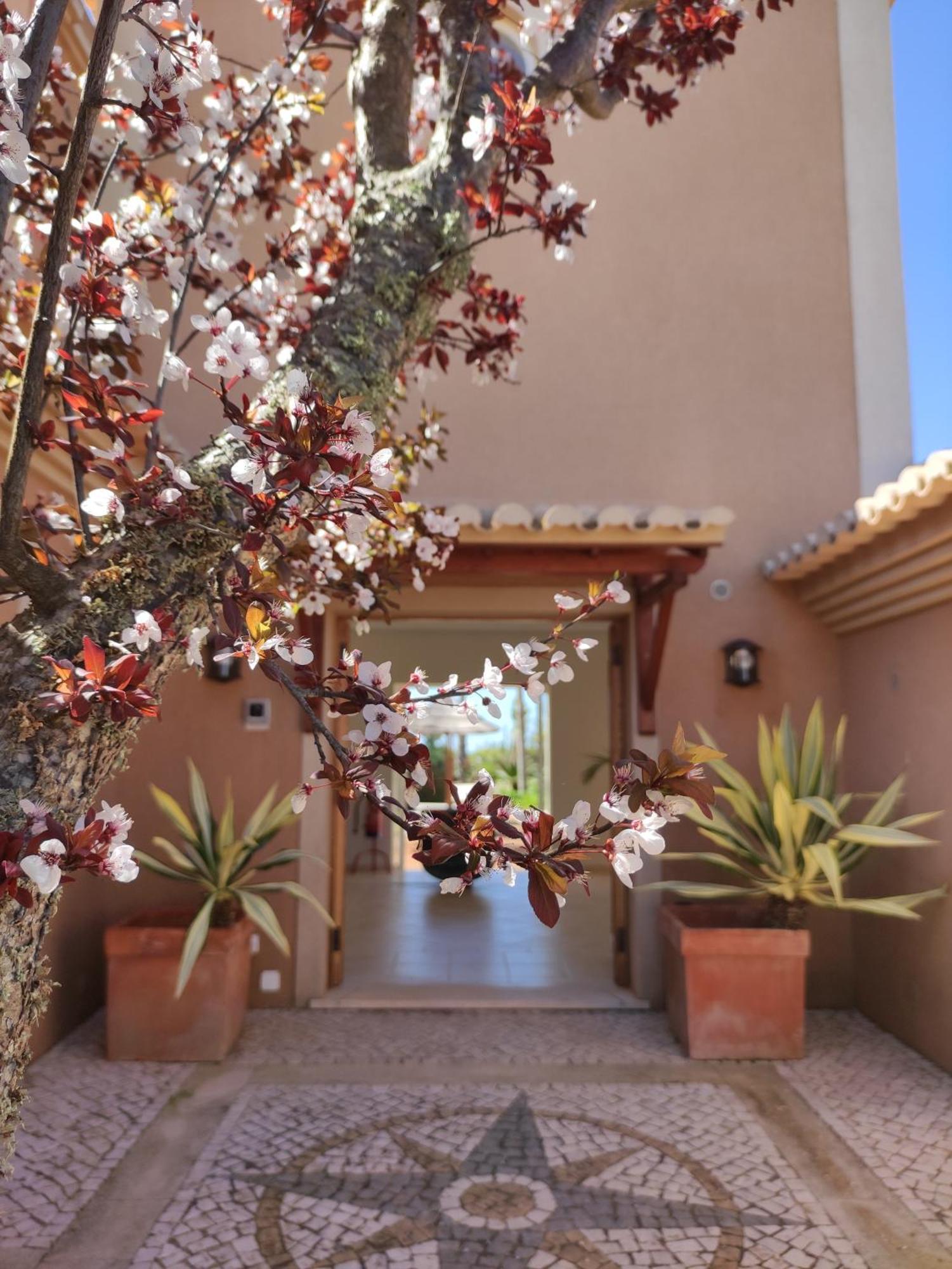 Casa Canavial Praia Da Luz Zewnętrze zdjęcie